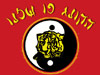 הקונג פו שלנו