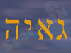 גאיה מחשבים