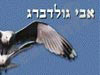 אבי גולדברג