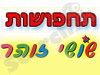 שושי זוהר