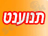 תנועה נט