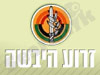 מפקדת זרוע היבשה