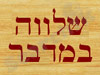 שלווה במדבר