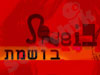 סטודיו בושמת 