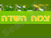 צמח השדה 