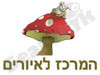 המרכז לאיורים 