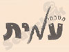 מטבחי עמית