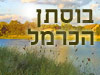 בוסתן הכרמל 