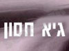 גיא חסון