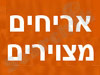אריחים מצוירים מיכל כץ