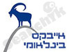 אייבקס בינלאומי