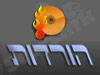 הורדות 