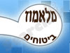 מלאמוד ביטוחים 
