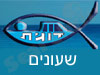 דוגית- שעונים 