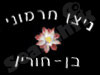 ניצן