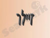 זיילר 