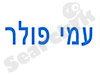 עמי פולר