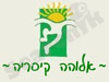 אלוהה קיסריה 