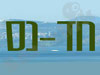 חד-נס