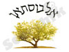 אל בוסתאן 