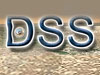DSS 