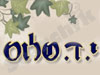 י.ד. שלוס 