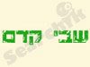 הפקות שבי קדם