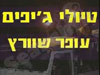 עופר שוורץ 