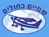 שמיים כחולים