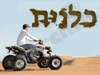 כלנית