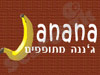 ג'ננה מתופפים 
