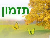 תזמון