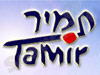 תמיר 
