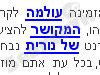 עולמה המקושר של נורית