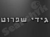גידי שפרוט