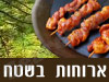 משוטטי הרמן