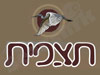 תצפית