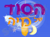 הסוד של מיה 