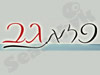 פלא גב 