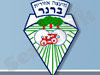מועצה אזורית ברנר