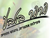 פרפר בטבע 