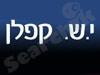 י.ש. קפלן