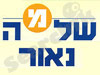 שלמה נאור