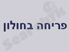 פריחה בחולון 