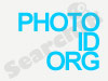 iFotonet