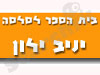יניב אלון 