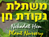 נקודת חן 