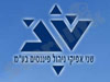 שני אפיקי ניהול פיננסיים