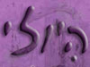 היולי 