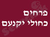 פרחים כחולי יקנעם 